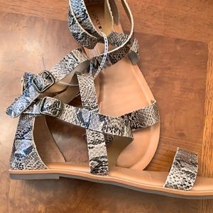 NWT-Girls Lucky Brand Loreinn Animal Print Sandals